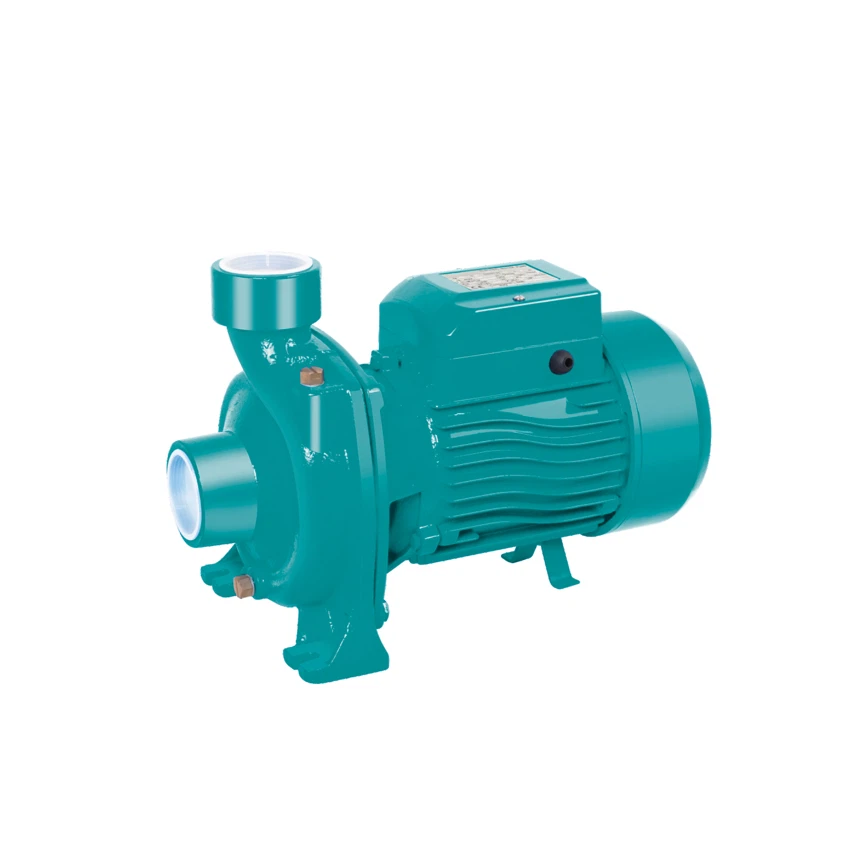 Bomba d'aigua centrífuga de 1,5 CV